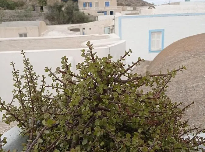 Casanova's House Emporio (Santorini)