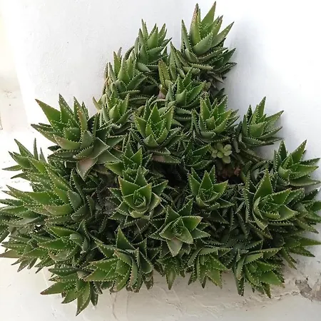 Casanova's House Casa vacanze *